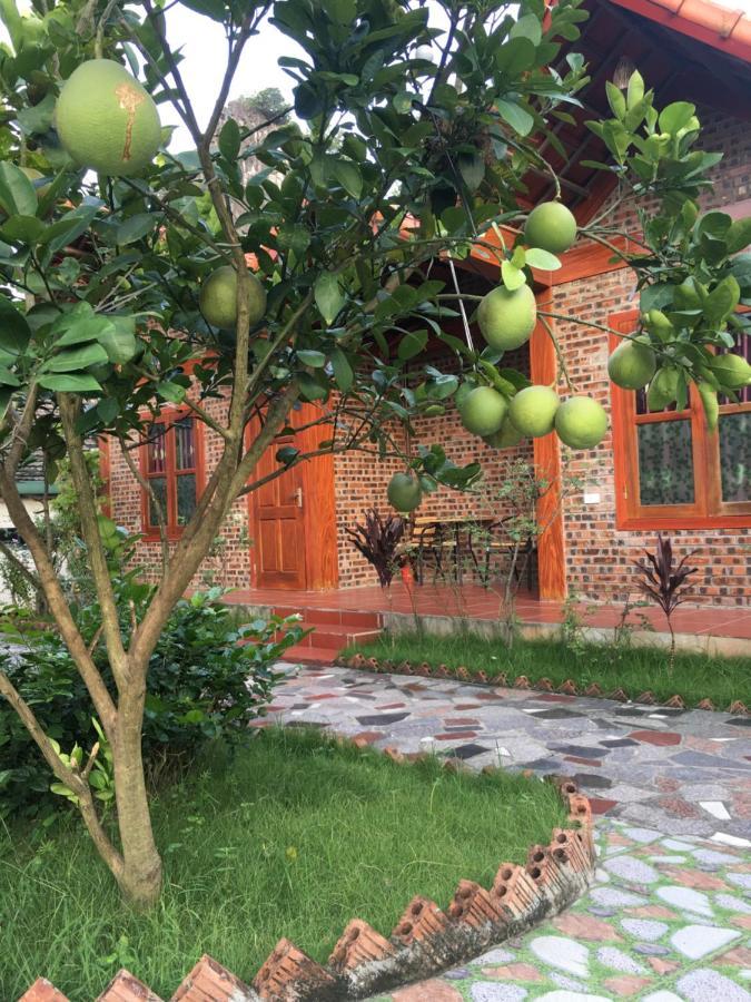 Tam Coc Thanh Dat Homestay Ninh Binh Exterior foto