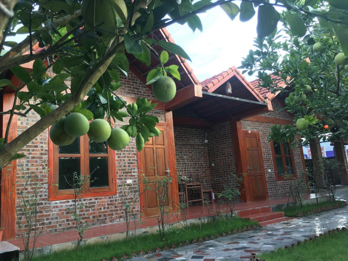 Tam Coc Thanh Dat Homestay Ninh Binh Exterior foto