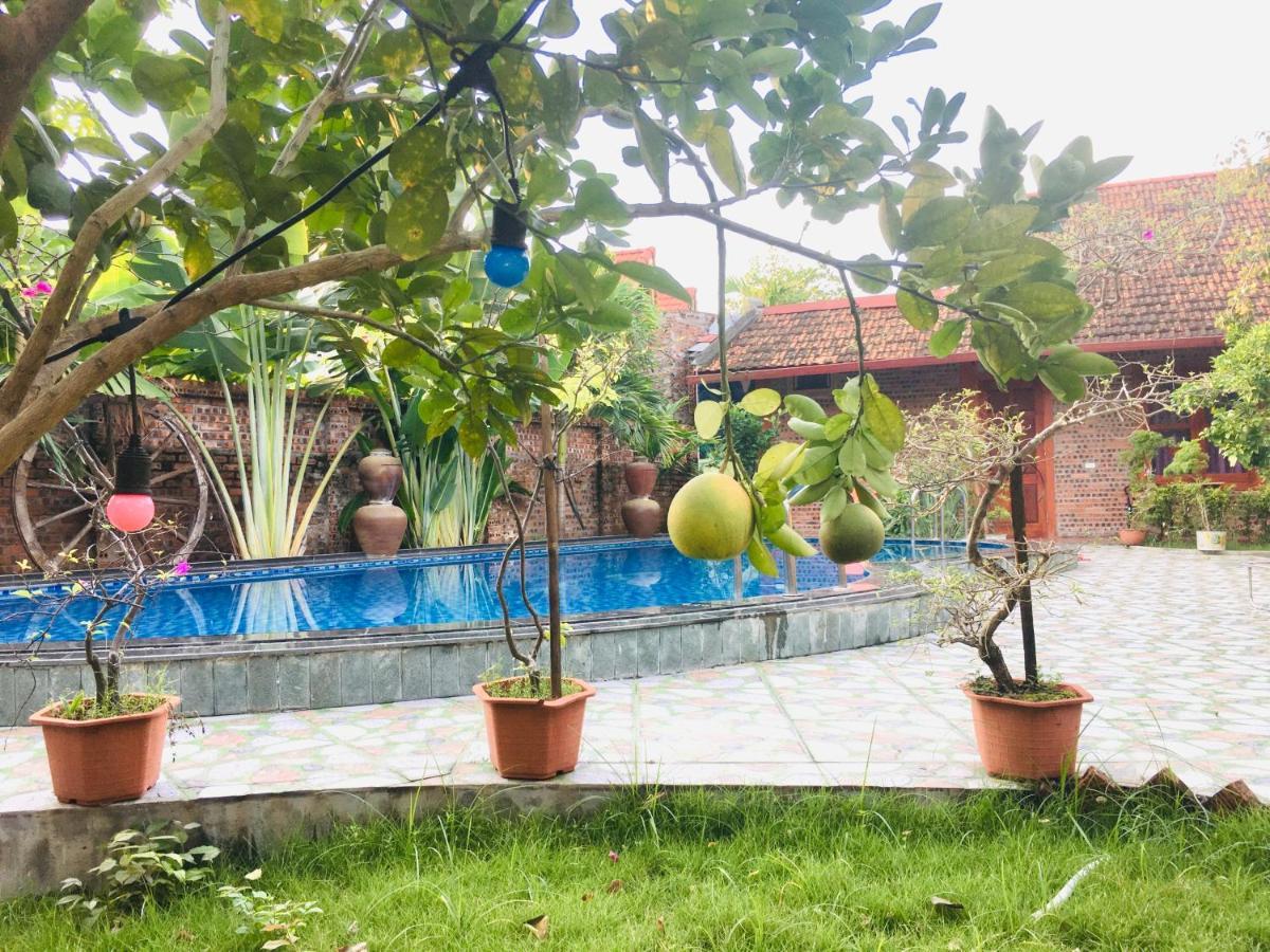 Tam Coc Thanh Dat Homestay Ninh Binh Exterior foto