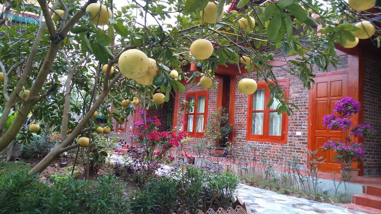 Tam Coc Thanh Dat Homestay Ninh Binh Exterior foto