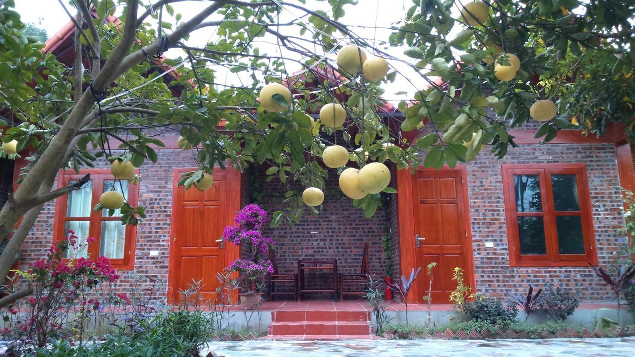 Tam Coc Thanh Dat Homestay Ninh Binh Exterior foto