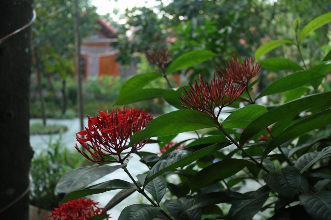 Tam Coc Thanh Dat Homestay Ninh Binh Exterior foto