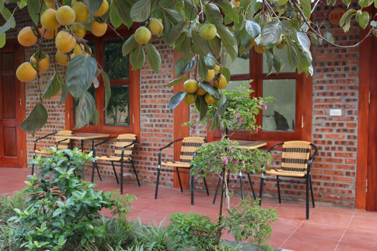 Tam Coc Thanh Dat Homestay Ninh Binh Exterior foto