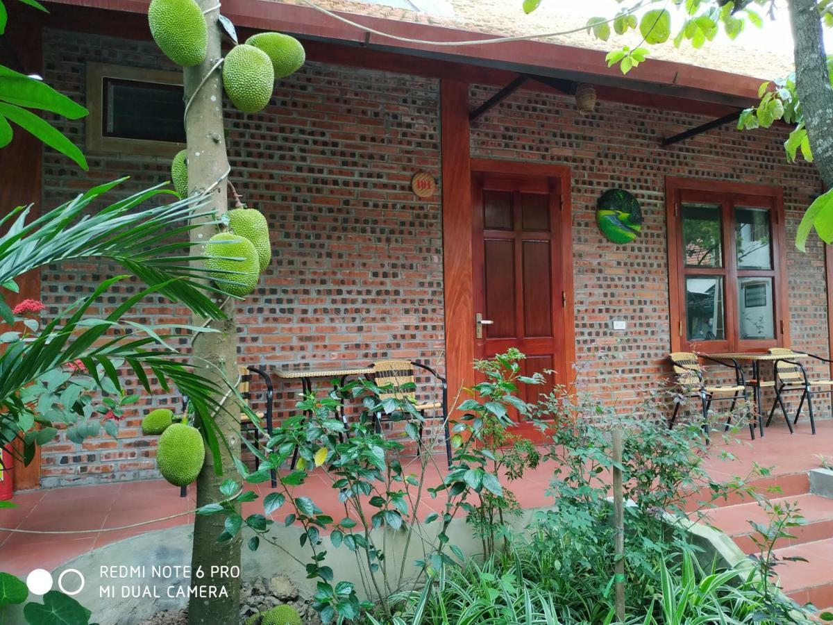 Tam Coc Thanh Dat Homestay Ninh Binh Exterior foto
