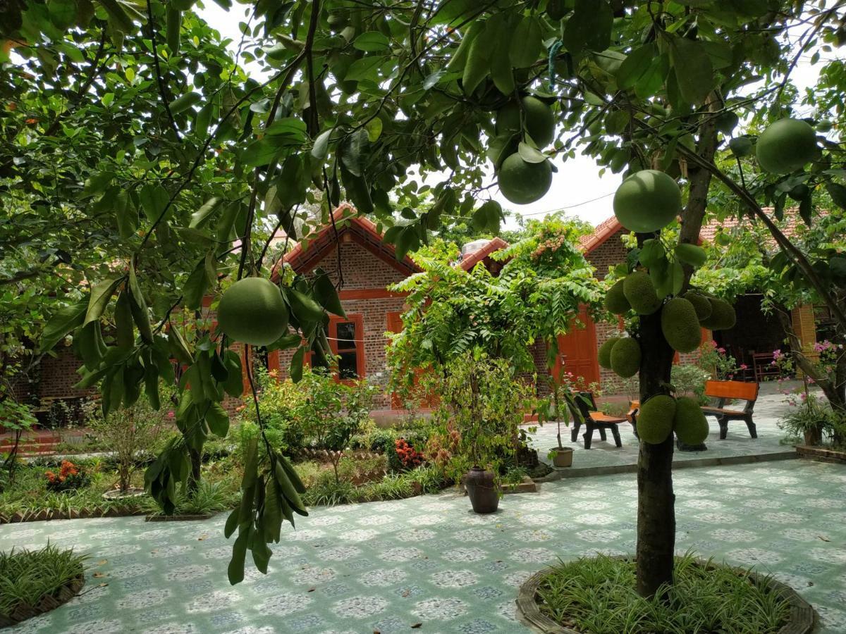Tam Coc Thanh Dat Homestay Ninh Binh Exterior foto
