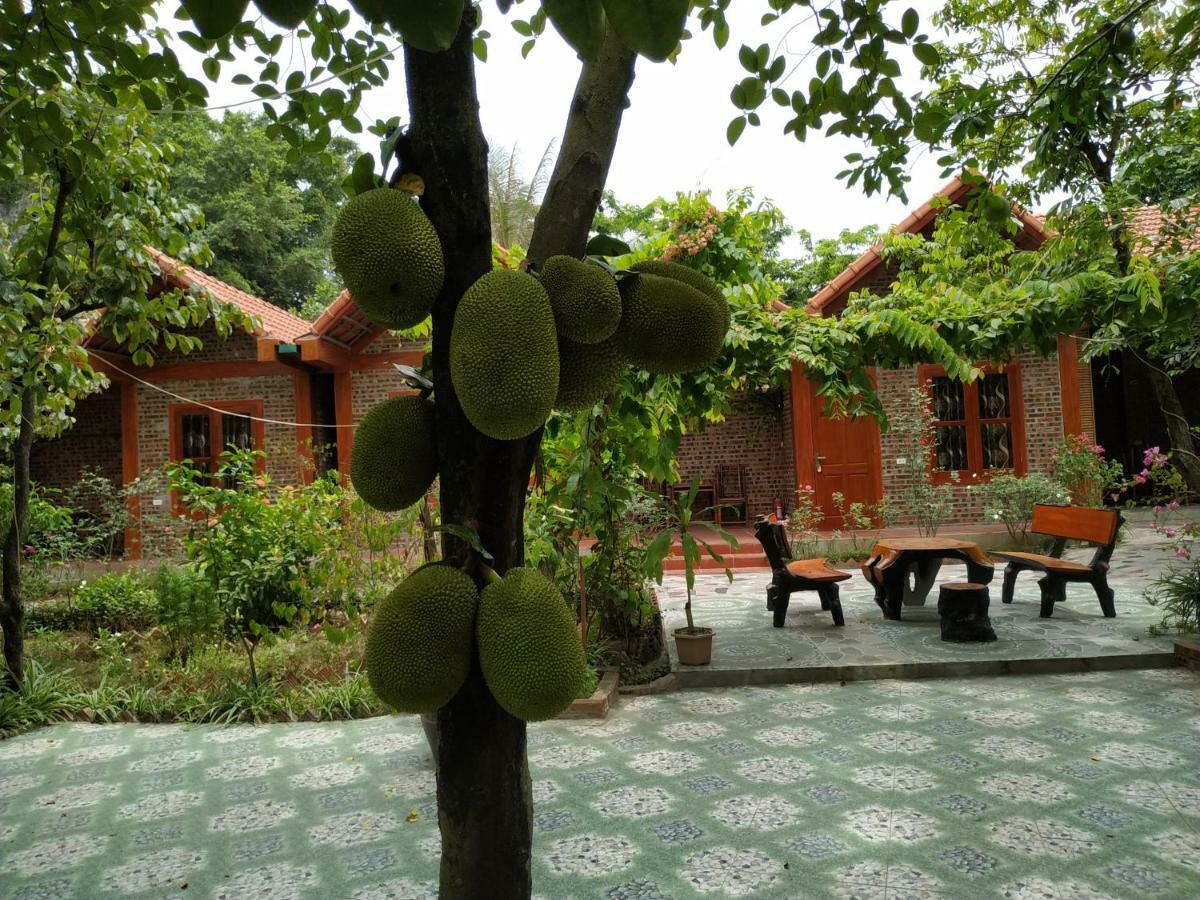 Tam Coc Thanh Dat Homestay Ninh Binh Exterior foto